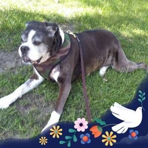 Meet your Posher, Nancy